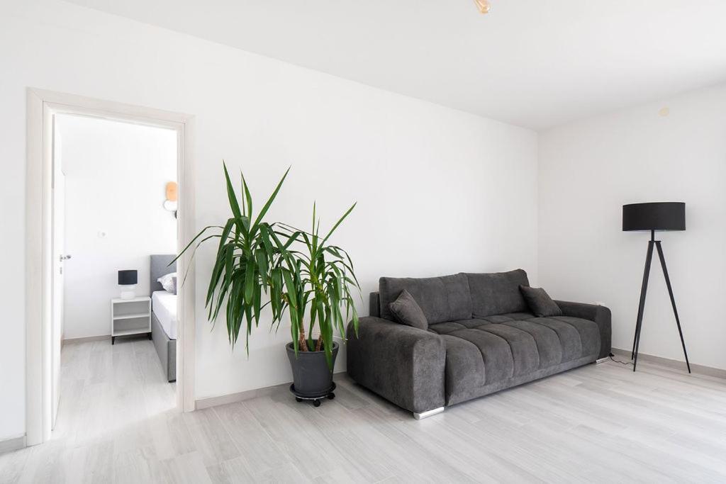 Apartments Grubisic - Sibenik - Parking Included Zewnętrze zdjęcie
